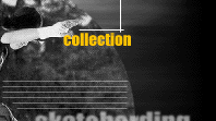 collection